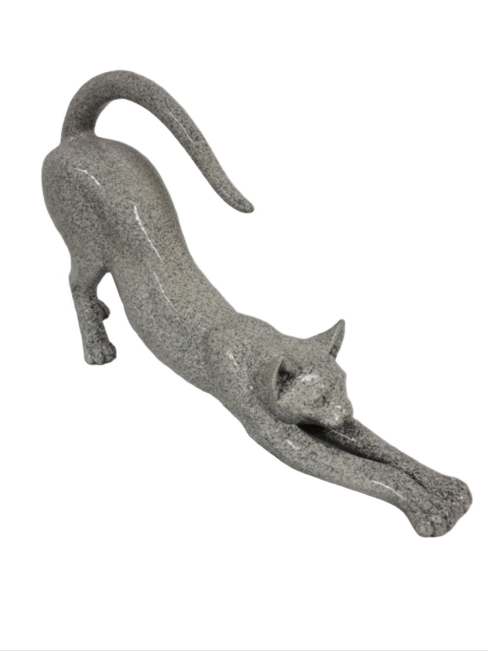 Rare Sleek Cat Playful Stretching Pose